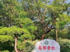 -禅宗少林·音乐大典