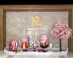 -玛丽亚妇产医院