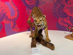 -国家自然博物馆