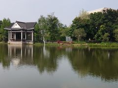 -映月湖公园