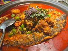 绝绝紫苏牛蛙烤鱼-探鱼·鲜青椒爽麻烤鱼(中山大信新都汇店)