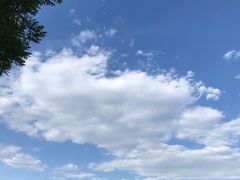 -北坞公园