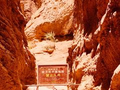 -天山神秘大峡谷