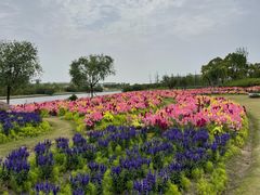 -春花秋色城市公园