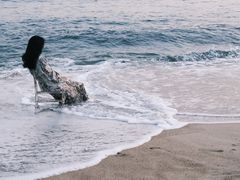-玫瑰海岸文化旅游度假区