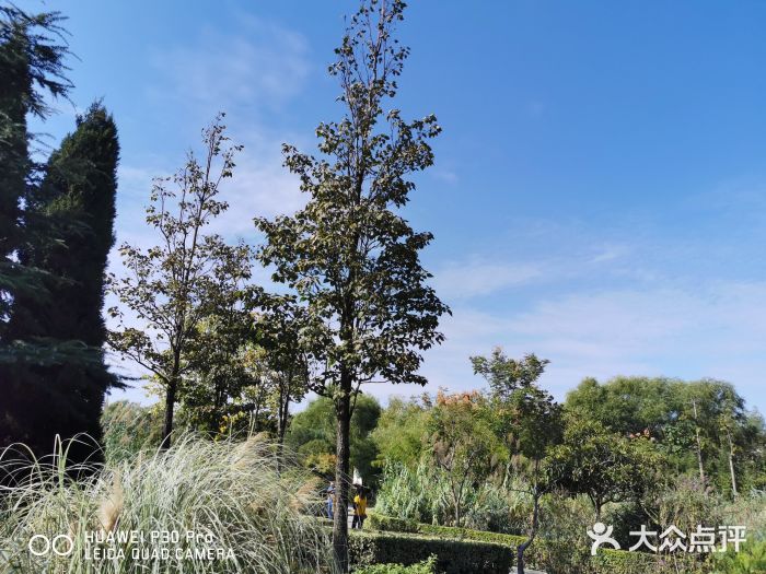 郑东新区湿地公园图片