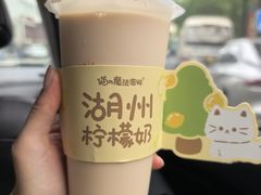 柠檬奶-猫的魔法密林(衣裳街店)