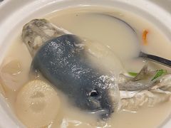 -肆月河豚·新淮扬(金融街店)