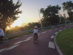 -白鹭湾湿地公园