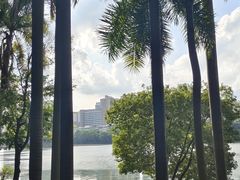 -南宁南湖公园