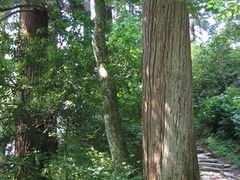-东天目山风景区