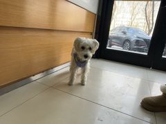 -宠福鑫动物医院(城北分院)