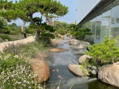 -罗红摄影艺术馆