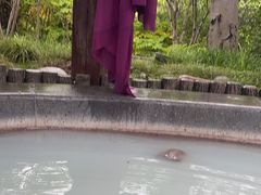 -扬州瘦西湖温泉