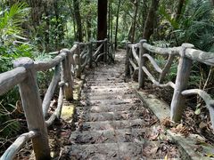 -海南热带雨林国家公园吊罗山景区