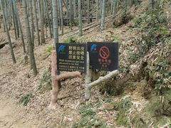 -黄山翡翠谷景区