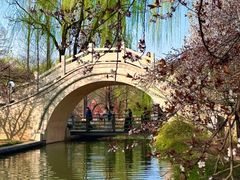 -洛阳市隋唐城遗址植物园