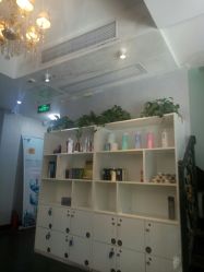 -维卡 Salon