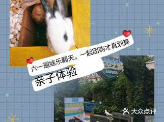 六一遛娃必去天空之城自然科学互动体验中心