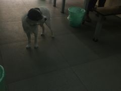 -清真蒋有记(老门东店)