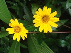 iphone_upload_pic-庆云洞