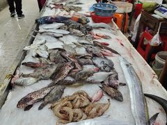 -板桥海鲜广场(文明东店)