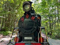 -五营红松林海景区