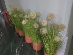 -唐宫足道·SPA·住宿24H会所(木渎店)