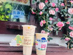 -猫的魔法密林(衣裳街店)