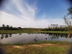 -东郊湿地公园