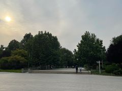 -望湖公园