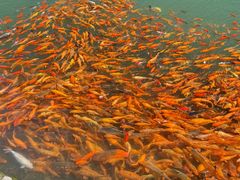 -楠溪江风景名胜区