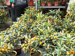 -嘉华海鲜酒家(龙津中路店)