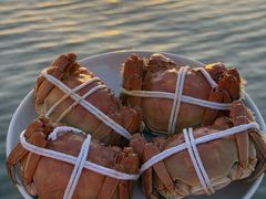 -品鲜村农家菜·阳澄湖大闸蟹(总店)