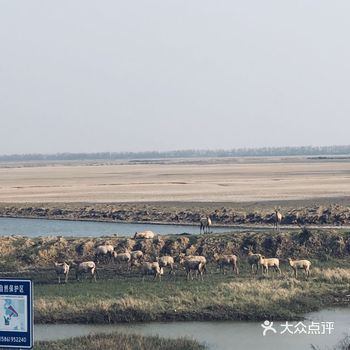 我想要和你一起去旅行  盐城市区——大丰川东闸海边