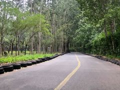 -廊坊市自然公园