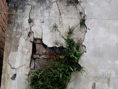 -丝绸小镇荻港古村