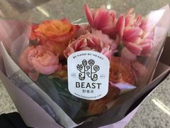 -BEAST野兽派(上海浦东嘉里城店)