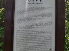 -白草畔自然风景区