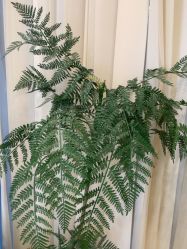 -壹加壹医疗美容·轻医美·美容外科