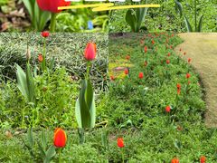 -浙江大学(玉泉校区)