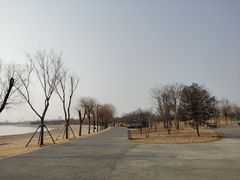 -象湖生态湿地公园