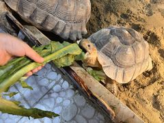 -上海大自然野生昆虫馆