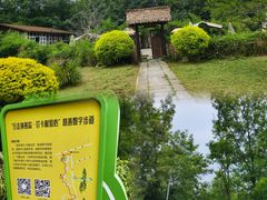 -桤木河湿地公园