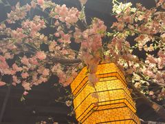 -绿茶餐厅(昌平悦荟店)