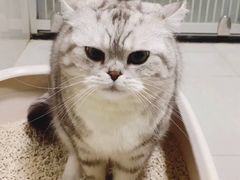 -1点点(苏州中心店)