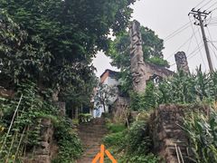 -南山植物园