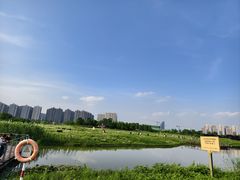 -洋湖国家湿地公园