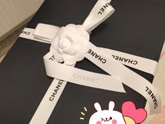 -Chanel(德基广场店)