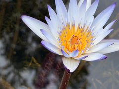 -云溪植物园